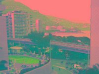 IMGP2875 edited (Medium)